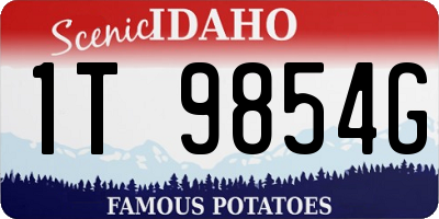 ID license plate 1T9854G