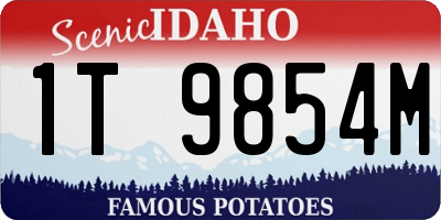 ID license plate 1T9854M
