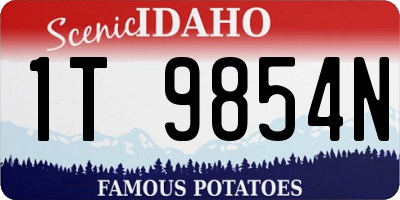 ID license plate 1T9854N
