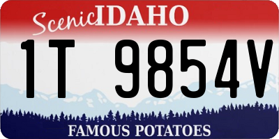 ID license plate 1T9854V