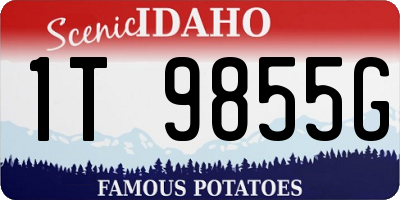 ID license plate 1T9855G