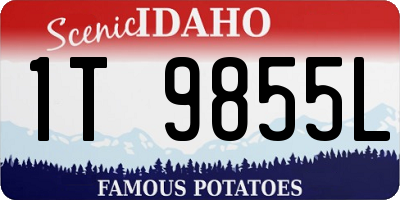 ID license plate 1T9855L