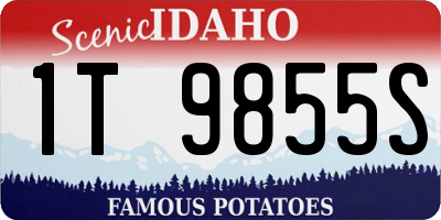 ID license plate 1T9855S