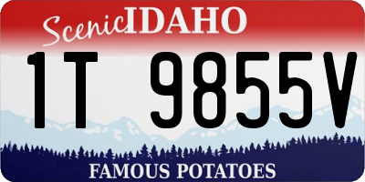 ID license plate 1T9855V