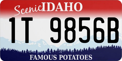 ID license plate 1T9856B