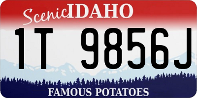ID license plate 1T9856J