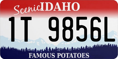 ID license plate 1T9856L