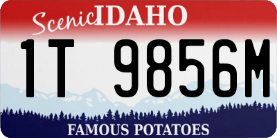 ID license plate 1T9856M