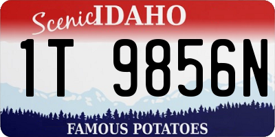 ID license plate 1T9856N