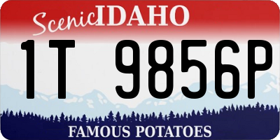 ID license plate 1T9856P