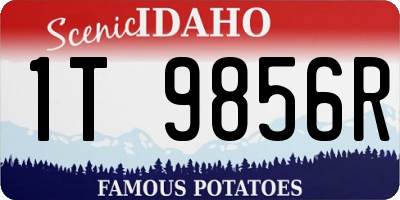 ID license plate 1T9856R