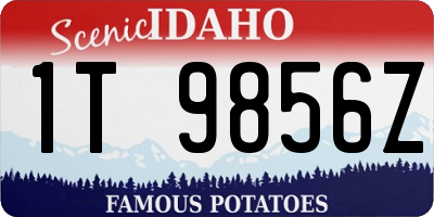 ID license plate 1T9856Z