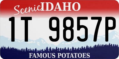 ID license plate 1T9857P