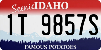 ID license plate 1T9857S