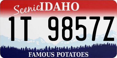 ID license plate 1T9857Z