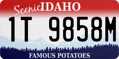 ID license plate 1T9858M