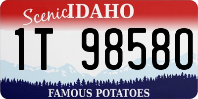 ID license plate 1T9858O