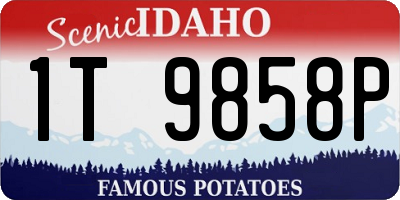ID license plate 1T9858P
