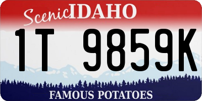 ID license plate 1T9859K