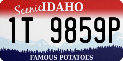 ID license plate 1T9859P