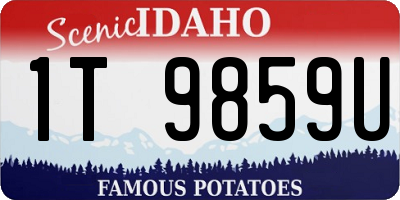 ID license plate 1T9859U