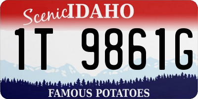 ID license plate 1T9861G
