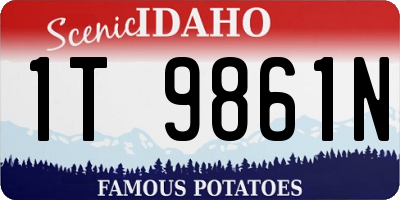 ID license plate 1T9861N