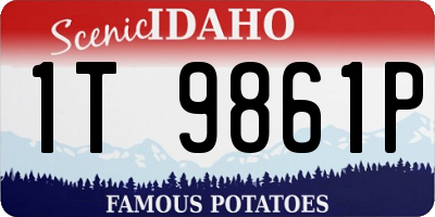 ID license plate 1T9861P