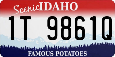 ID license plate 1T9861Q
