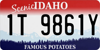 ID license plate 1T9861Y