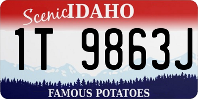 ID license plate 1T9863J