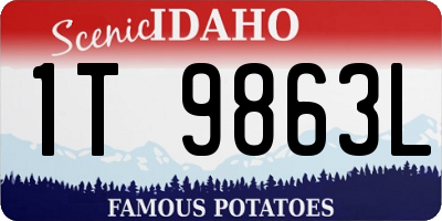 ID license plate 1T9863L