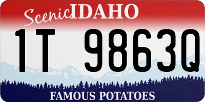 ID license plate 1T9863Q