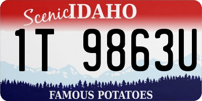 ID license plate 1T9863U