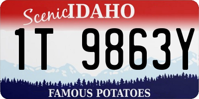 ID license plate 1T9863Y