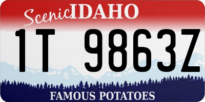 ID license plate 1T9863Z