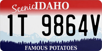 ID license plate 1T9864V