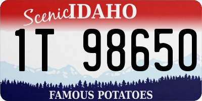 ID license plate 1T9865O