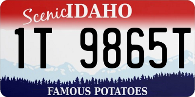 ID license plate 1T9865T