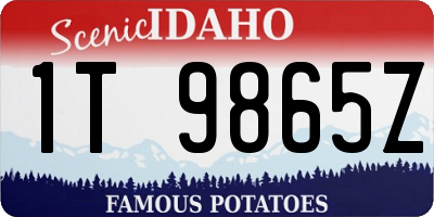 ID license plate 1T9865Z