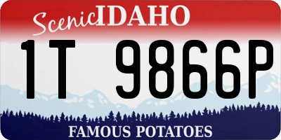 ID license plate 1T9866P