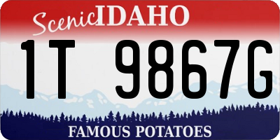 ID license plate 1T9867G