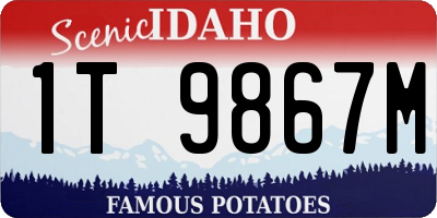 ID license plate 1T9867M
