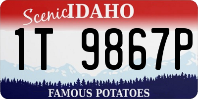 ID license plate 1T9867P