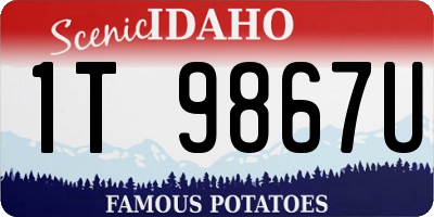 ID license plate 1T9867U