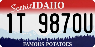 ID license plate 1T9870U