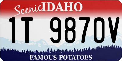 ID license plate 1T9870V