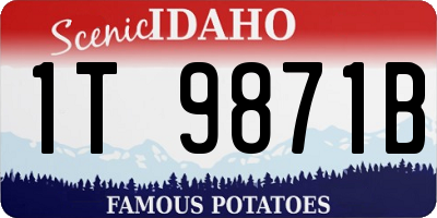 ID license plate 1T9871B