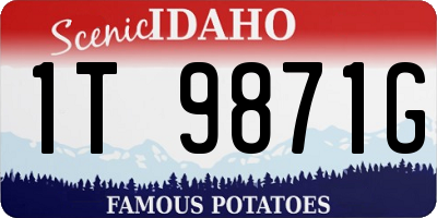 ID license plate 1T9871G