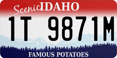 ID license plate 1T9871M